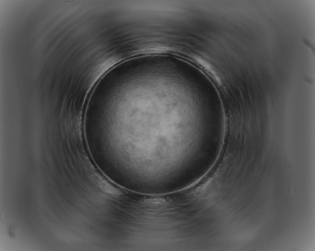 X0000093241186200710031556