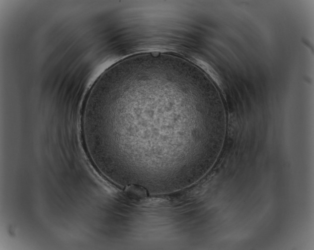 X0000093241187200710031556