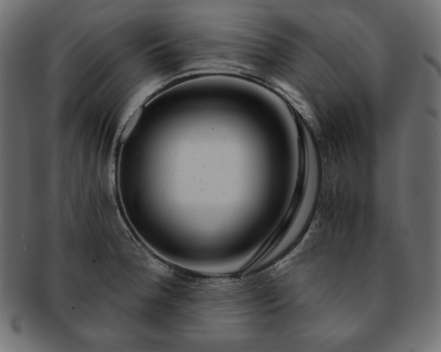 X0000093241188200710031556