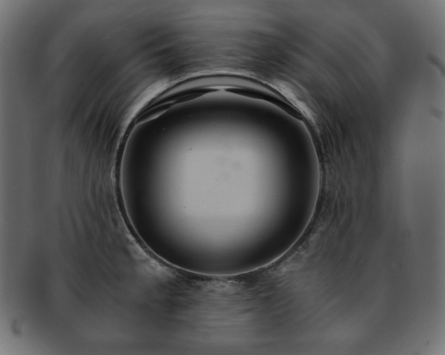 X0000093241189200710031556