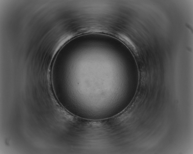 X0000093241190200710031556