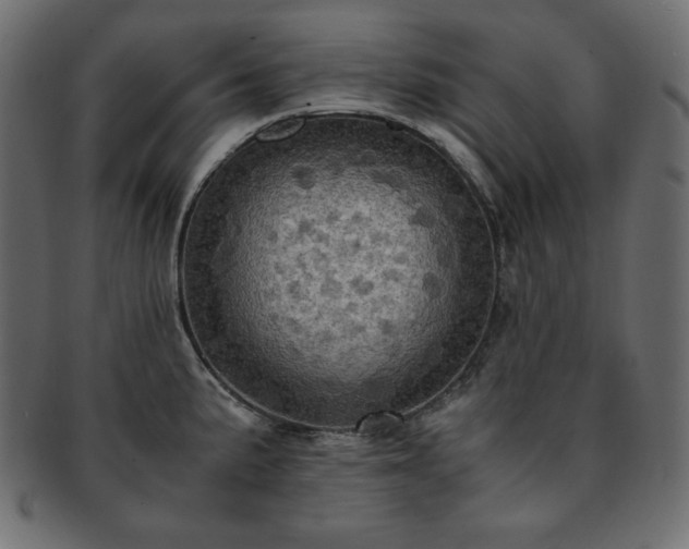 X0000093241191200710031556