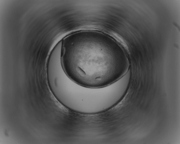 X0000093241192200710031556