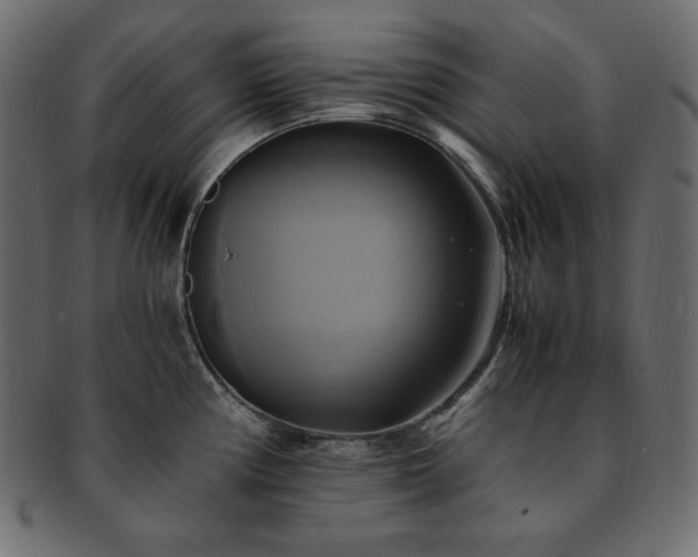 X0000093241194200710031556