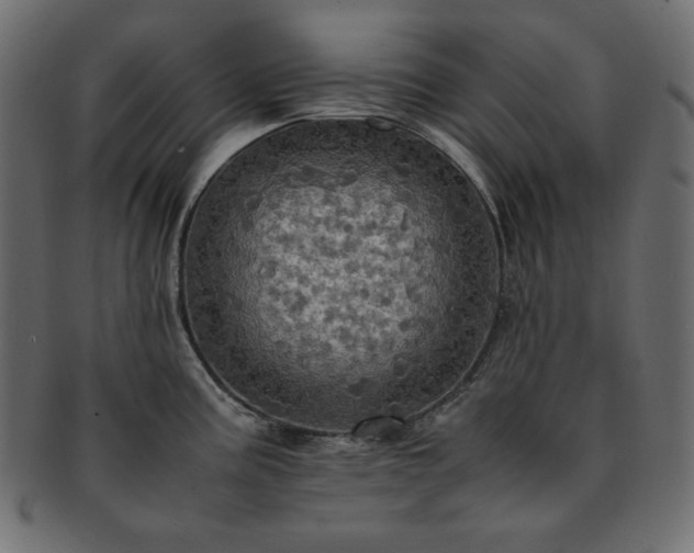X0000093241195200710031556