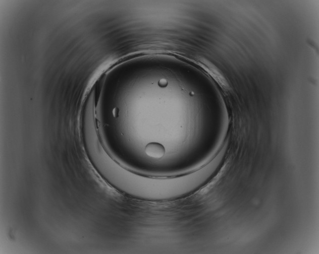 X0000093241196200710031556