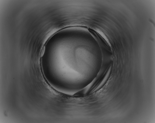X0000093241197200710031556
