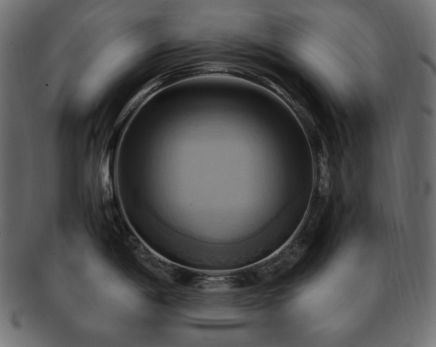 X0000093241198200710031556