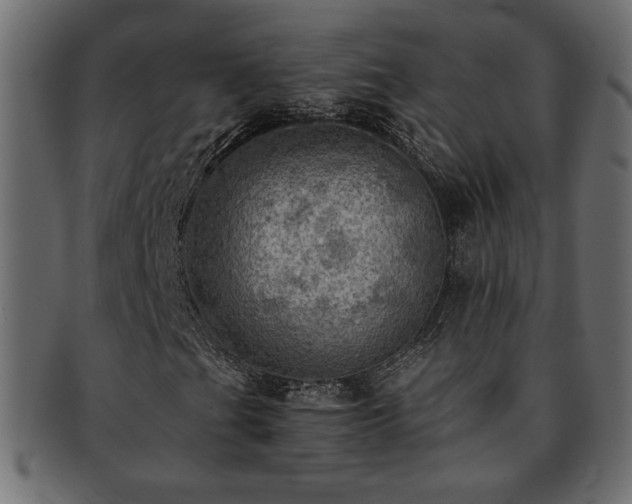 X0000093241201200710031555