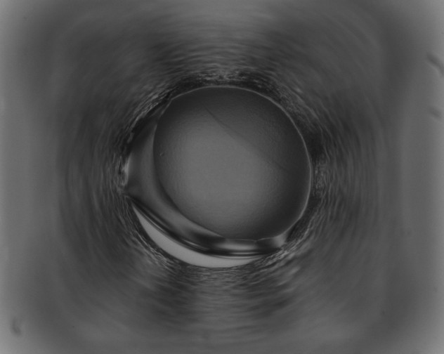 X0000093241202200710031555