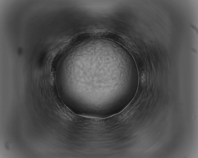 X0000093241204200710031555