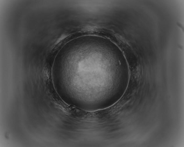 X0000093241206200710031555