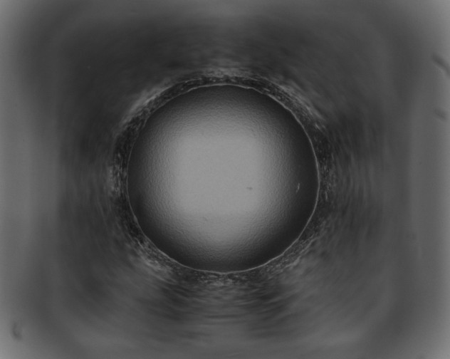 X0000093241207200710031555
