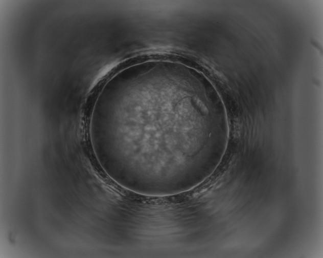 X0000093241208200710031555