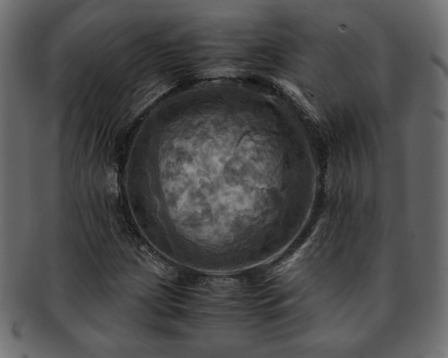 X0000093241209200710031555