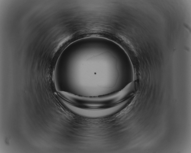 X0000093241210200710031555