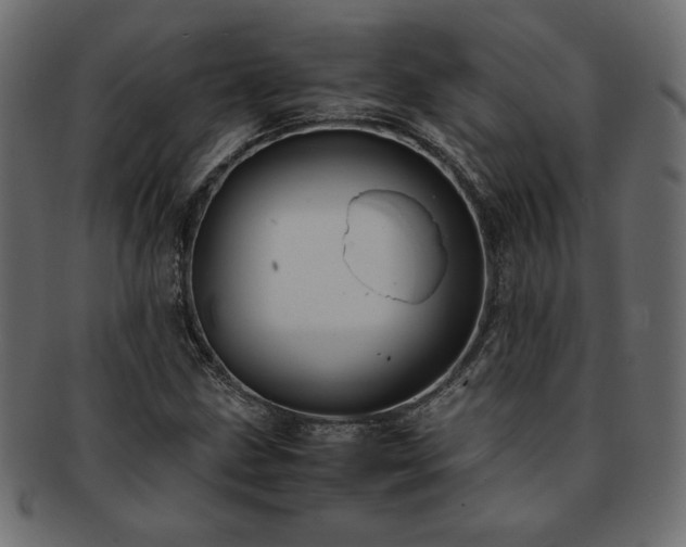 X0000093241211200710031555