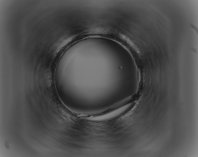 X0000093241213200710031555