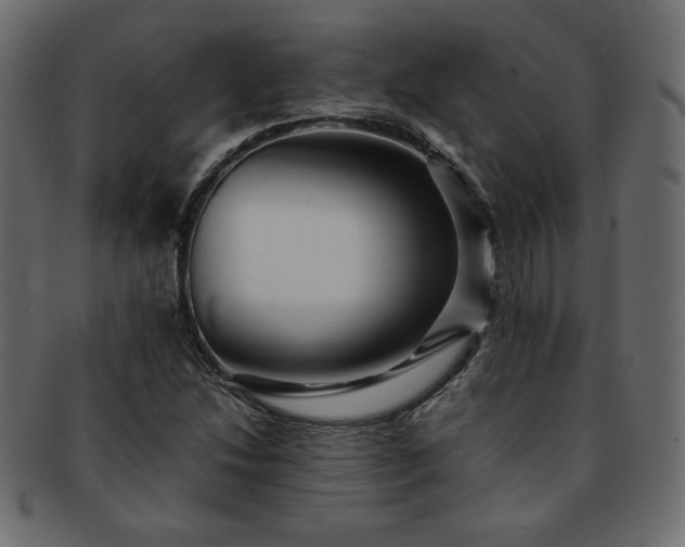X0000093241214200710031555