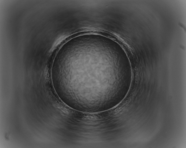 X0000093241215200710031555