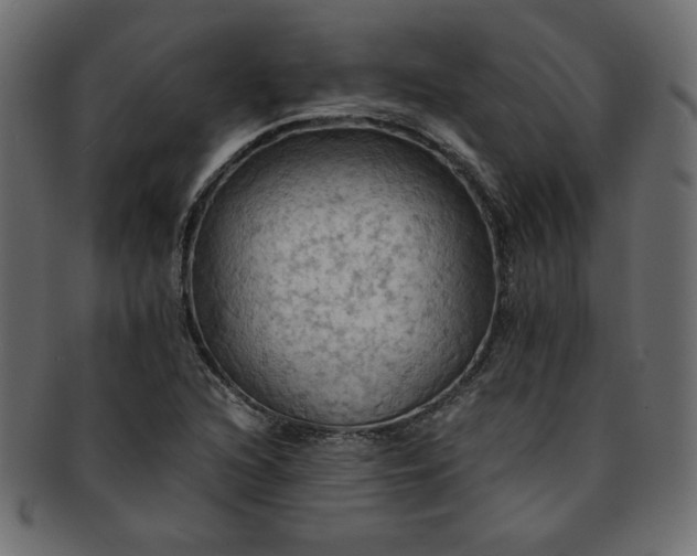 X0000093241216200710031555