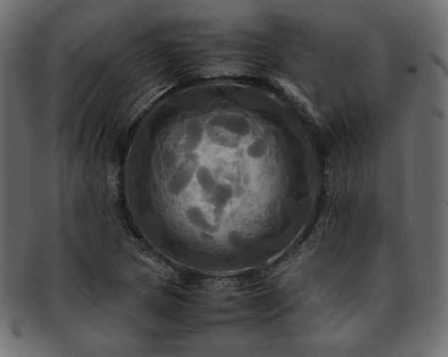 X0000093241217200710031555