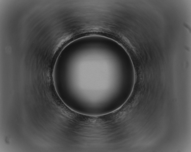 X0000093241218200710031555