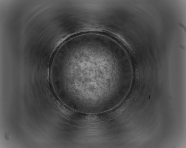 X0000093241220200710031555