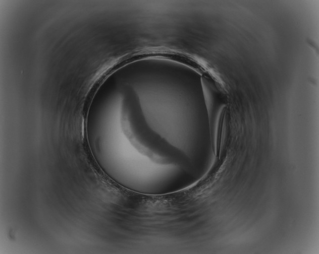 X0000093241221200710031555