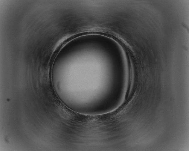 X0000093241222200710031555
