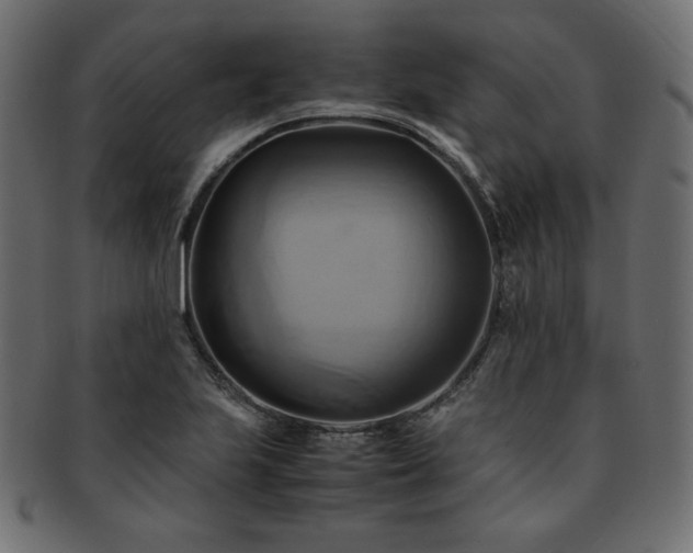 X0000093241223200710031555