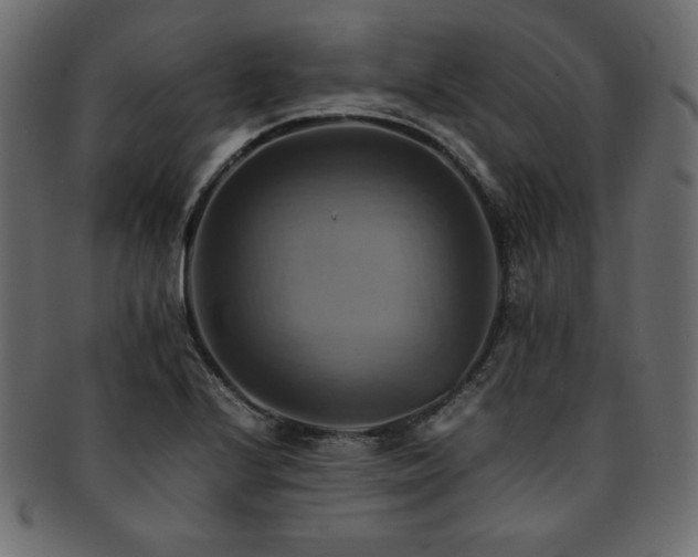 X0000093241224200710031555