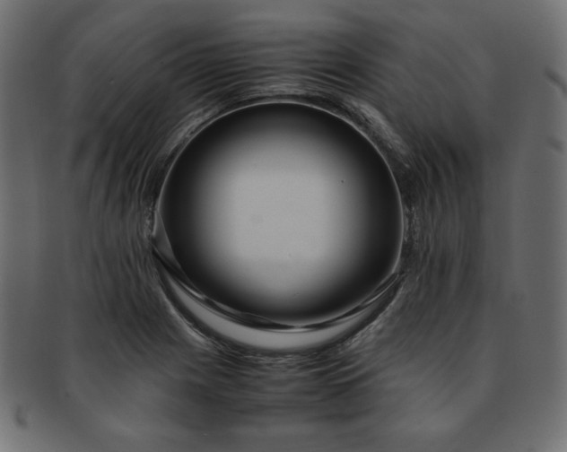 X0000093241225200710031555