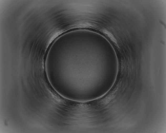 X0000093241226200710031555