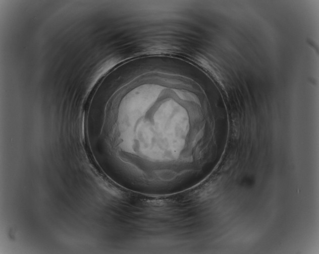 X0000093241227200710031555