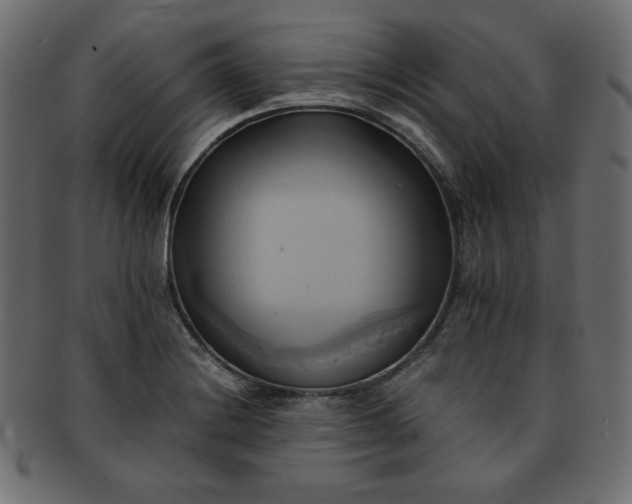 X0000093241228200710031555