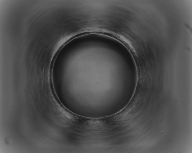 X0000093241231200710031555