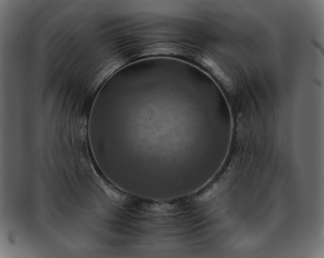 X0000093241233200710031556