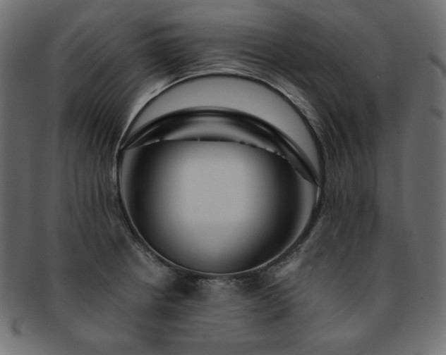 X0000093241234200710031556