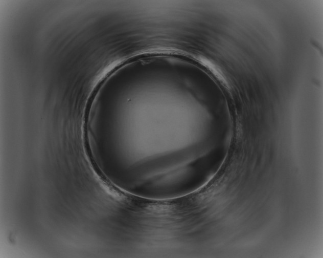 X0000093241237200710031556