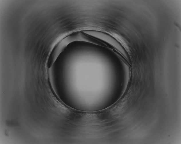 X0000093241238200710031556