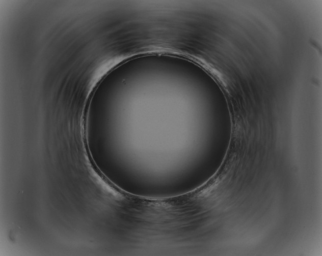 X0000093241239200710031556