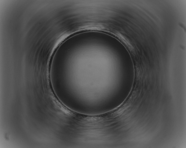 X0000093241240200710031556
