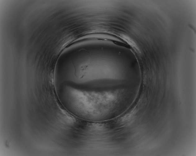 X0000093241241200710031556