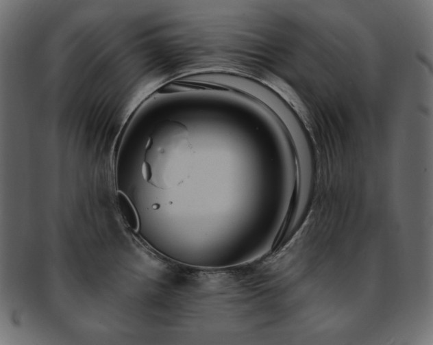 X0000093241242200710031556