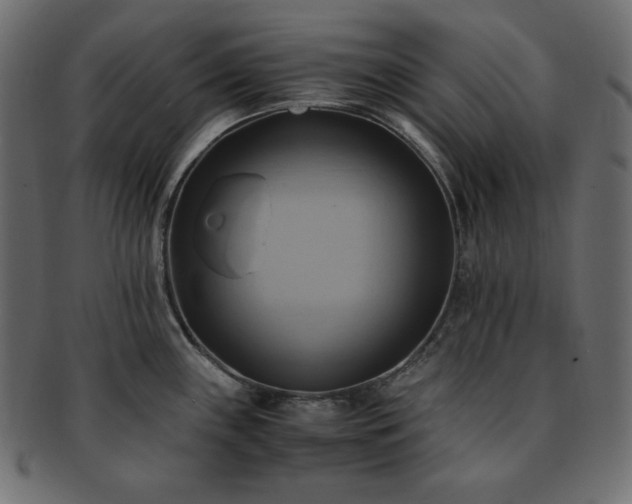 X0000093241243200710031556