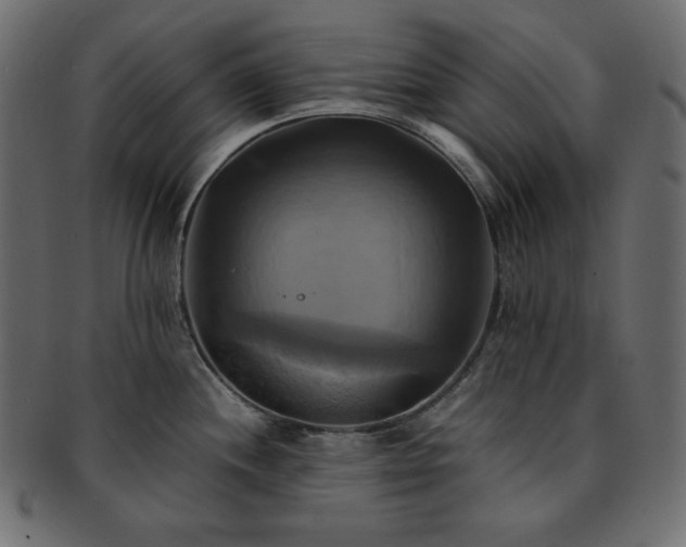 X0000093241244200710031556