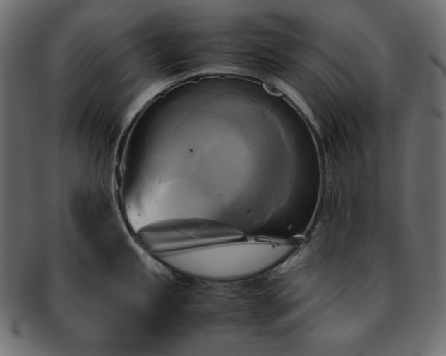 X0000093241245200710031556