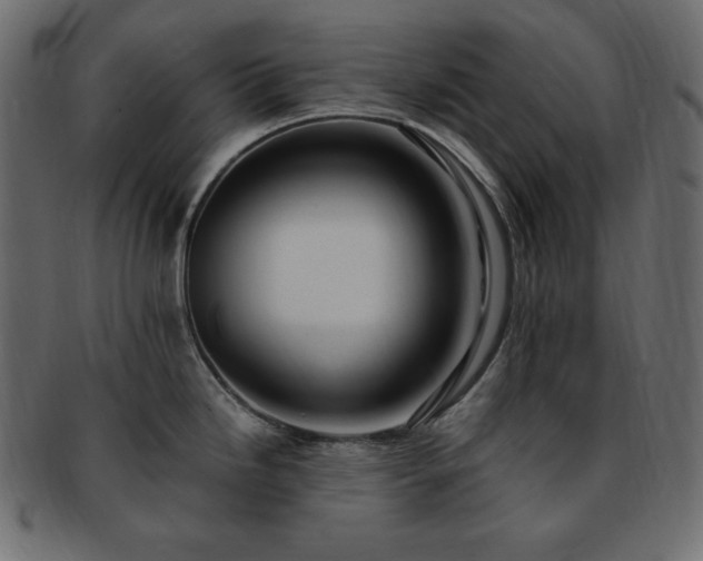 X0000093241246200710031556