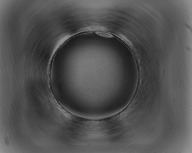 X0000093241248200710031556